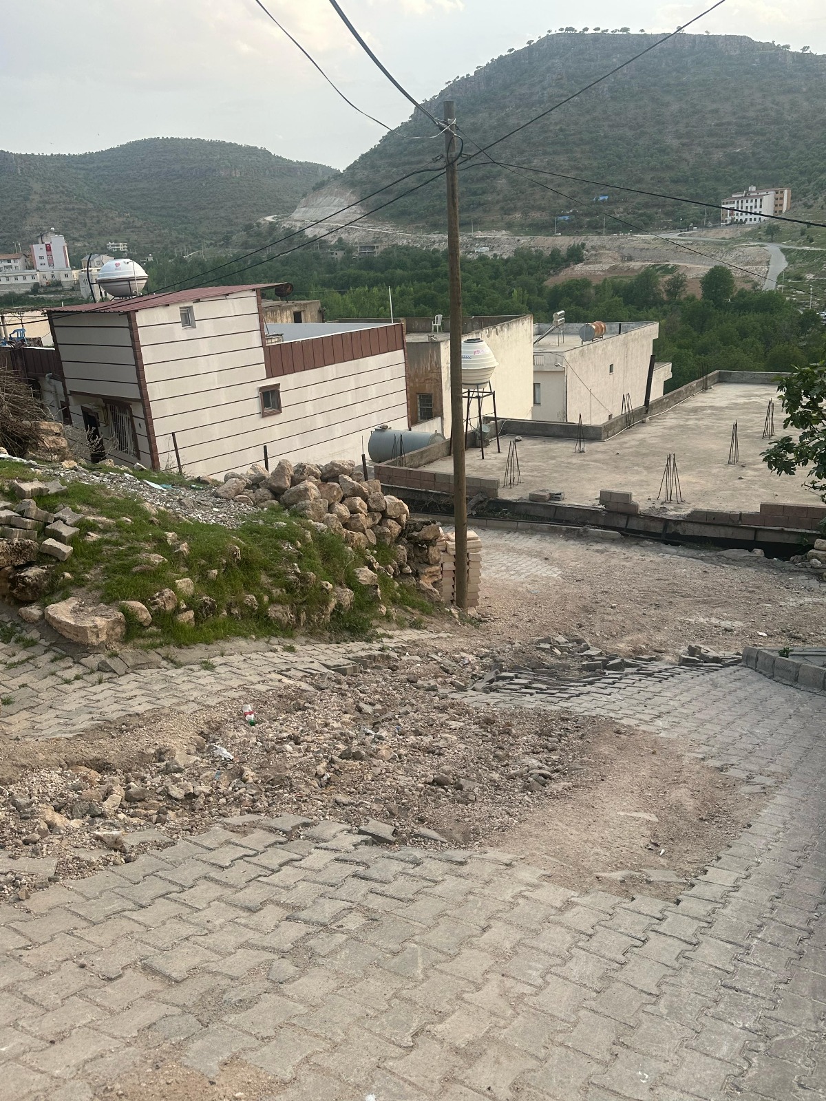 Image description
