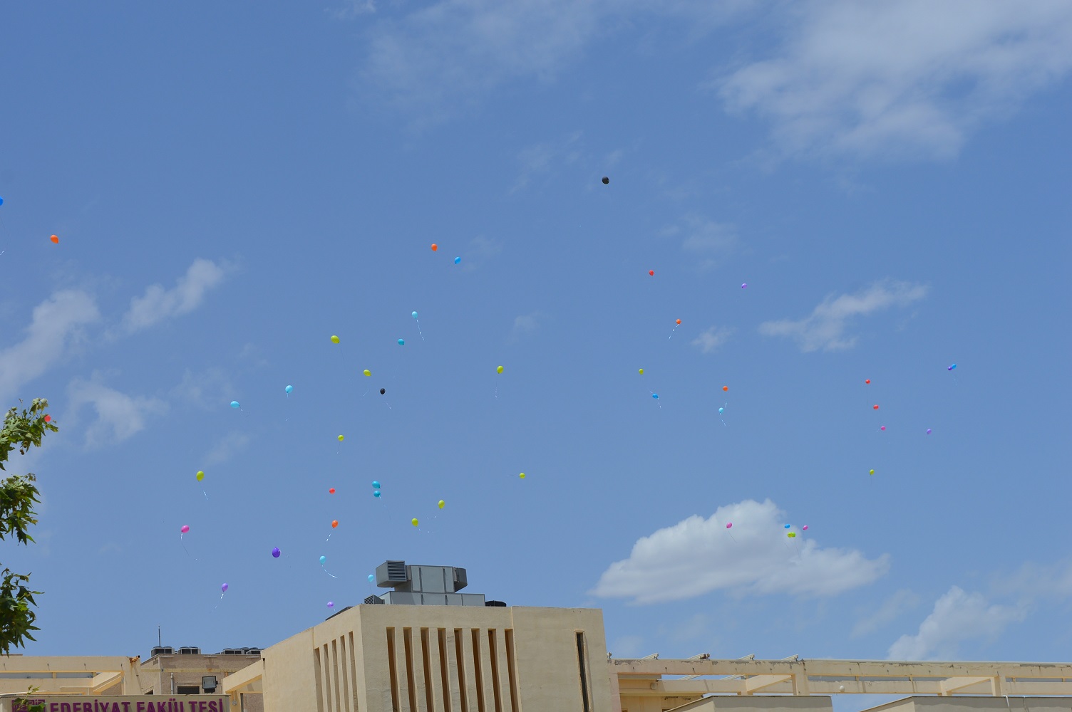 DSC_0025.JPG