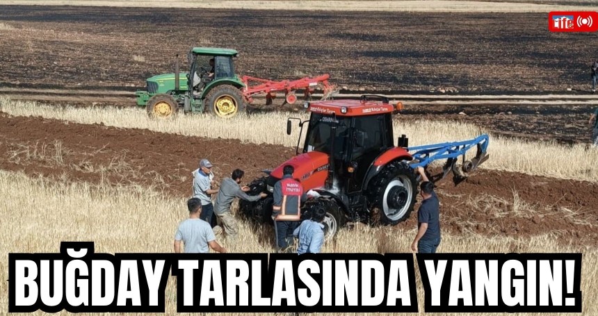 Mardin'de Çiftçilerin bir yıllık hasadı kül oldu!