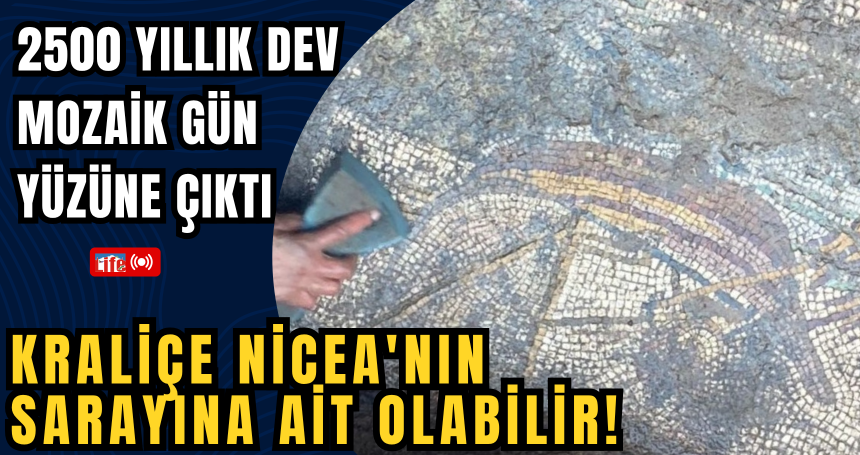 2500 Yıllık Dev Mozaik Gün Yüzüne Çıktı: Kraliçe Nicea'nın Sarayına Ait Olabilir!