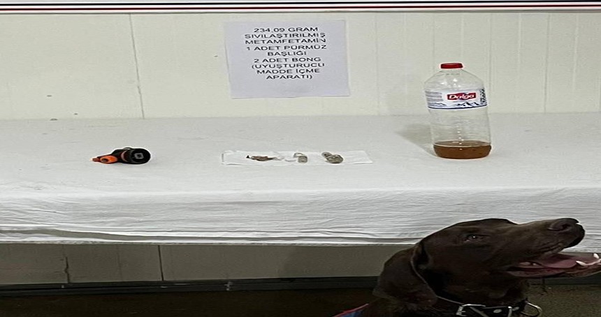 Bingöl’de 4 farklı noktada operasyon kenevir ve metamfetamin ele geçirildi