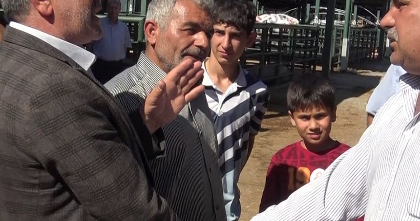 Kurban Bayramı yaklaştı pazarlıklar kızıştı