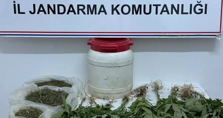 Şanlıurfa'da uyuşturucu operasyonu: 1 gözaltı