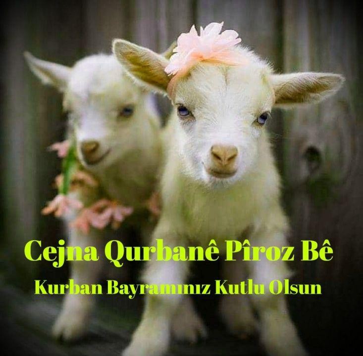 2025 Kürtçe Kurban Bayramı Mesajları ve Anlamları