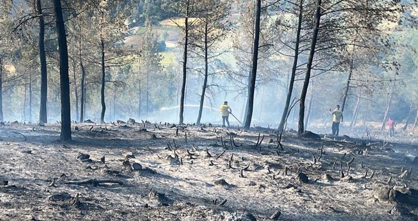 Balıkesir'de orman yangını