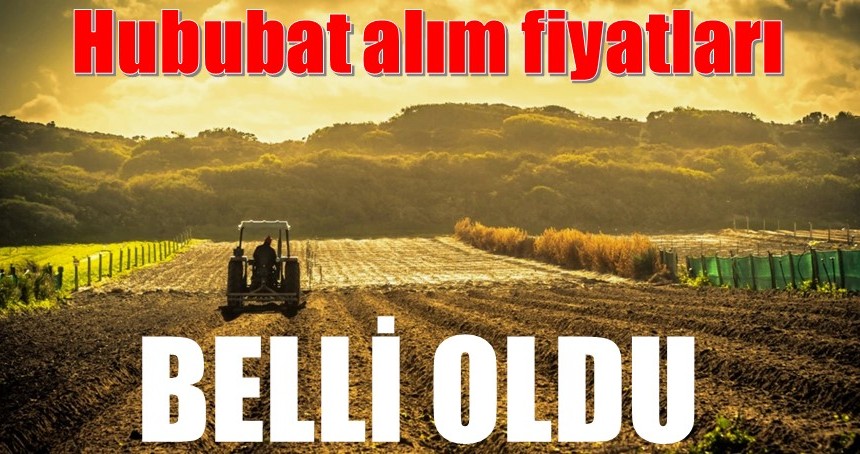 Hububat alım fiyatları belli oldu