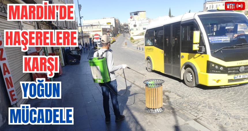 Mardin'de Haşerelere Karşı Yoğun Mücadele