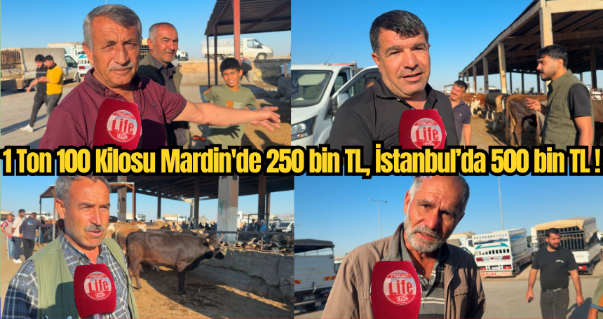 1 Ton 100 Kilosu Mardin'de 250 bin TL, İstanbul’da 500 bin TL! Üreticiler Şikayetçi