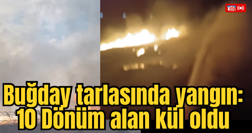Buğday tarlasında yangın: 10 Dönüm alan kül oldu