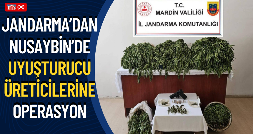 Jandarma’dan Nusaybin’de Uyuşturucu Üreticilerine Operasyon