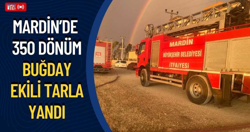 Mardin'de 350 dönüm buğday ekili tarla yandı