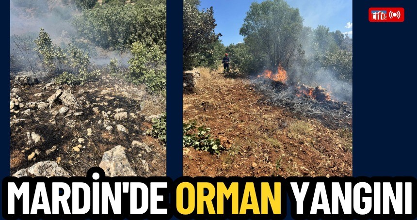 Mardin'de örtü yangını