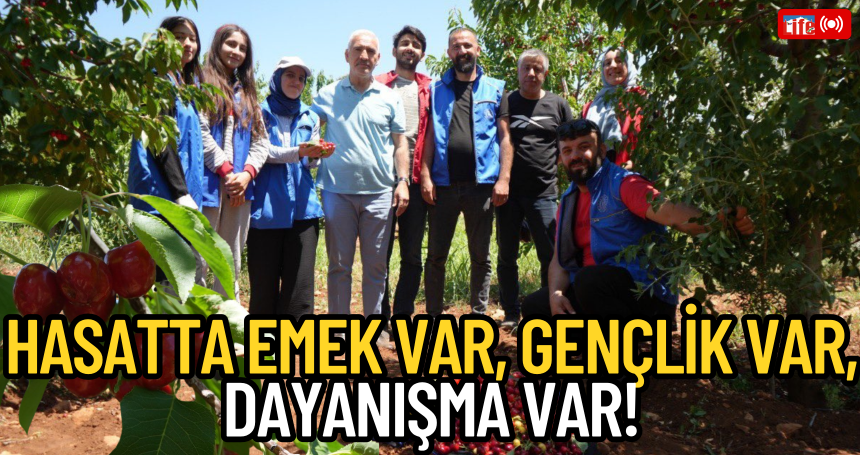 Gençler Kiraz Hasadında Buluştu: Emek, Birlik ve Dayanışma Bahçede Hayat Buldu