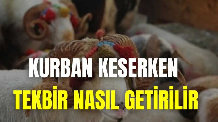 Kurban kesilirken Tekbir getirilir mi? Tekbir getirmenin hükmü nedir? Kurban kesilirken Tekbir nasıl getirilir?