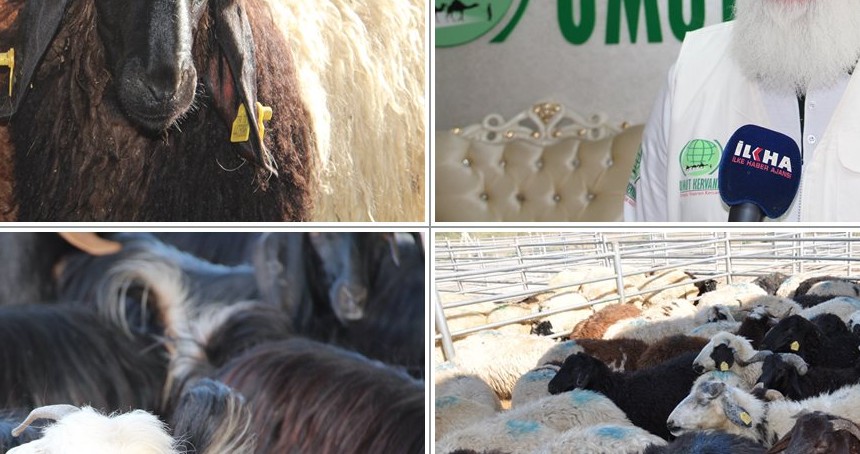Umut Kervanı, bayramda binlerce aileye kurban eti ulaştıracak