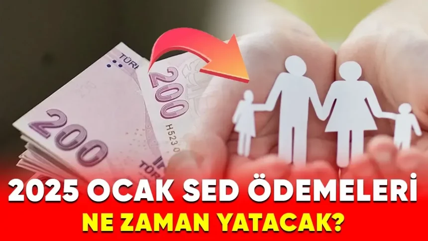 2025 Haziran ayı SED ödemeleri ne zaman? Ne kadar yatacak? SED parası ne kadar?