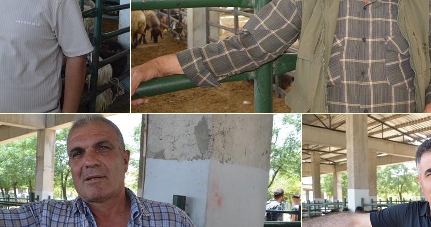 Kurbanlık satıcıları şikayetçi:  Kurbanlıklar elimizde kaldı, satışlar durma noktasına geldi
