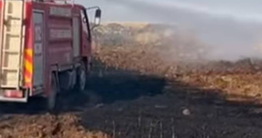 Şanlıurfa'da buğday tarlasında yangın: 170 dönüm alan kül oldu