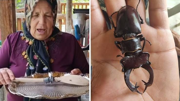 Kırmızı listede yer alıyor: Öldürene ve ticaretini yapana rekor ceza!