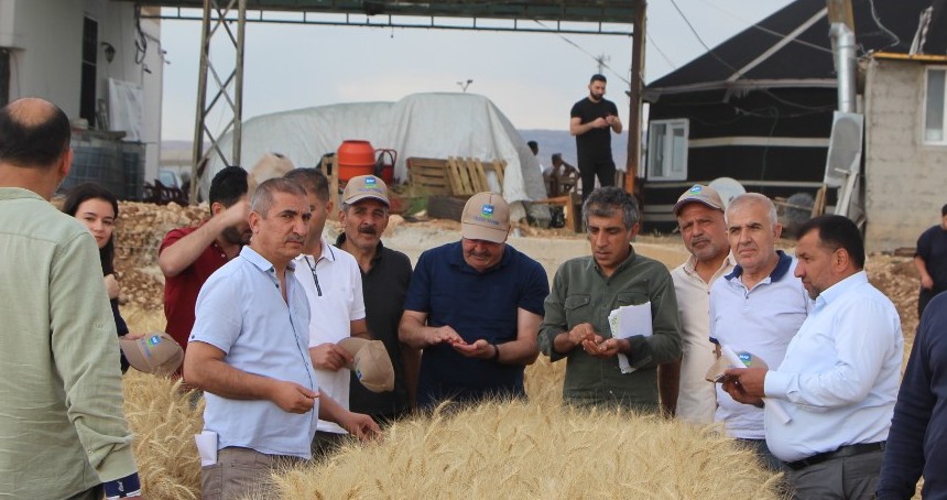 “Tarla Günü” etkinliğinde kuraklığa dayanıklı buğday tanıtıldı
