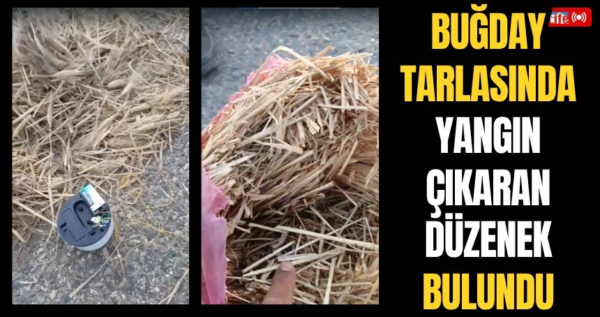 Buğday tarlasında yangın çıkaran düzenek bulundu
