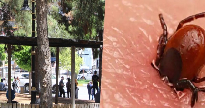 Kırım Kongo Kanamalı Ateşi’ne karşı dikkat edilmesi gerekenler?