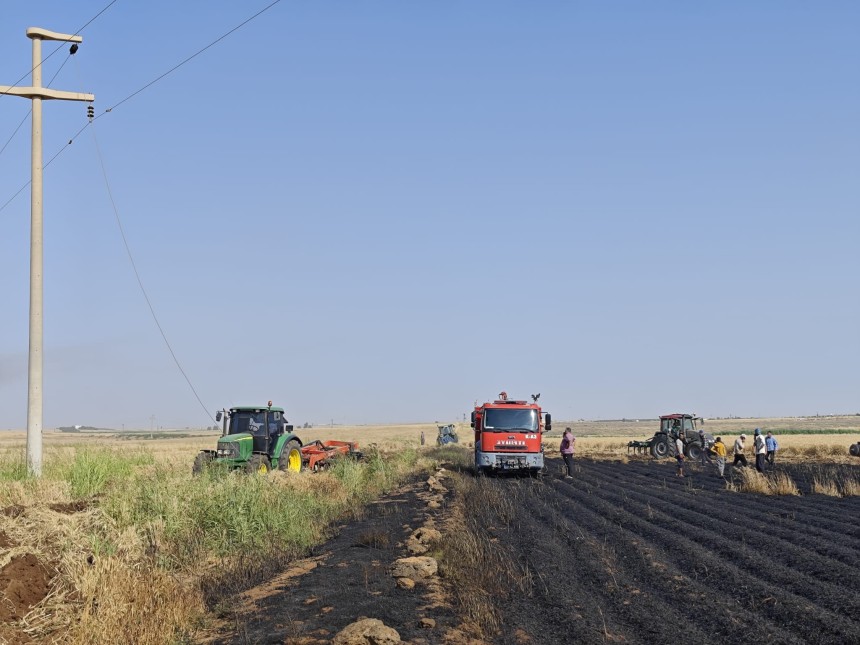 Mardin’de 15 dönüm ekili buğday yandı