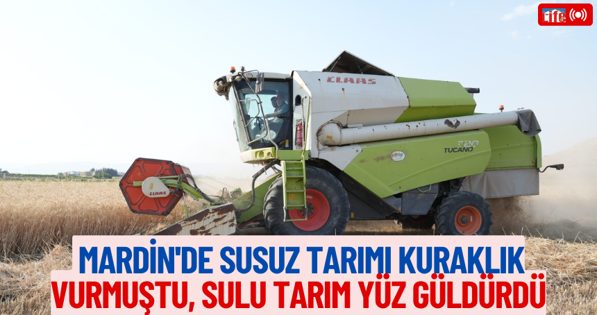 Mardin'de susuz tarımı kuraklık vurmuştu, sulu tarım yüz güldürdü
