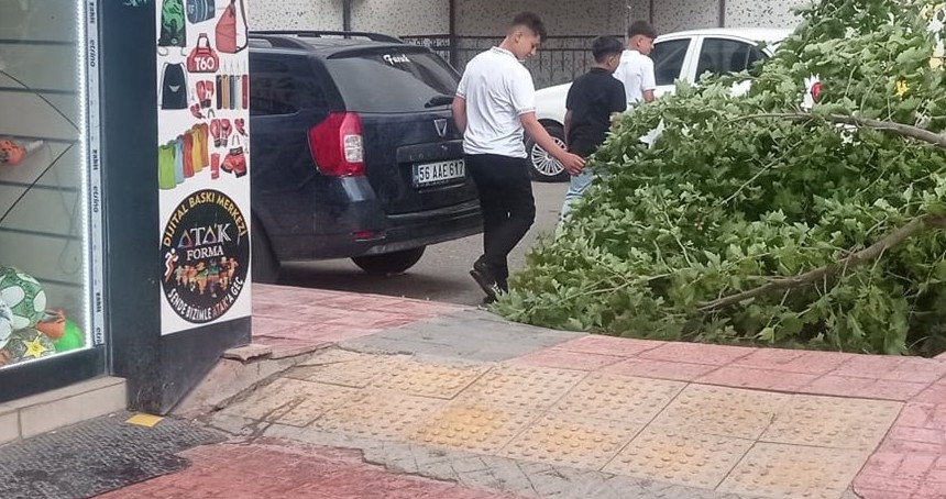 Siirt’te kuvvetli rüzgâr işyerini vurdu: Ağaç devrildi, esnaf zarar gördü