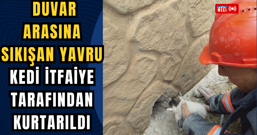 Duvar Arasına Sıkışan Yavru Kedi İtfaiye Tarafından Kurtarıldı