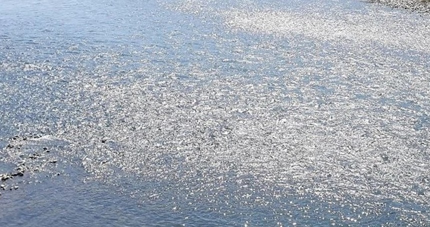 Elazığ'da nehre giren adam kayboldu