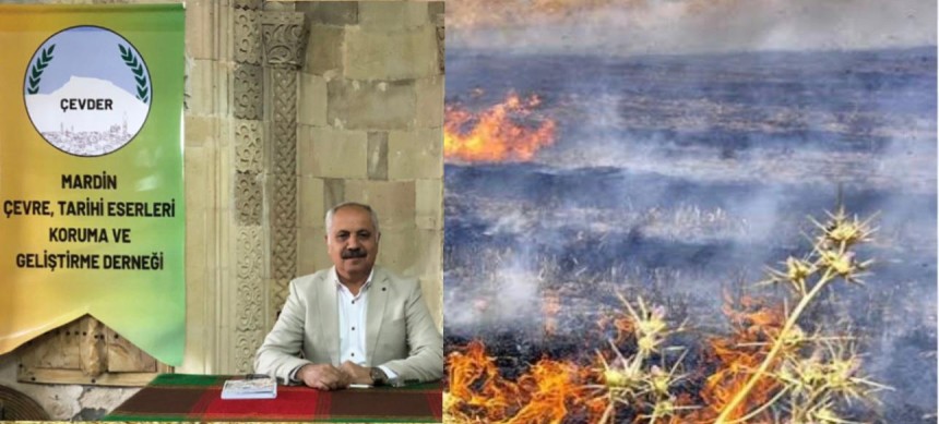 Anız yangınları, çevrecileri endişelendiriyor