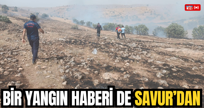 Bir yangın haberi de Savur’dan
