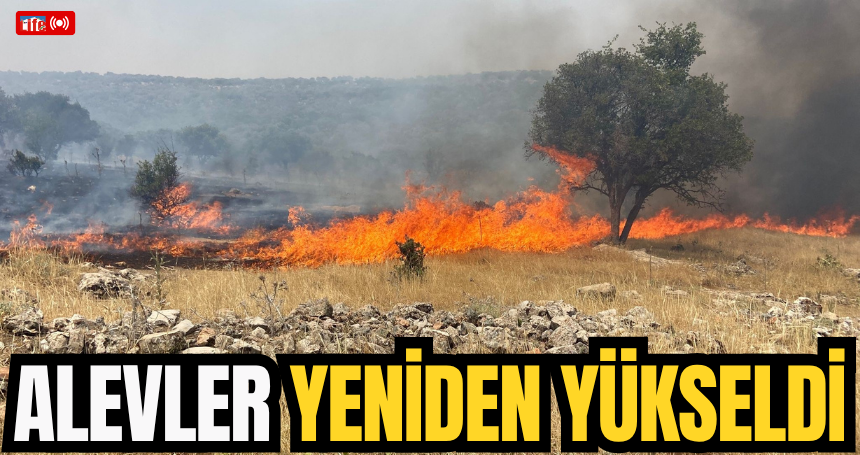 Mardin'de alevler yeniden yükseldi