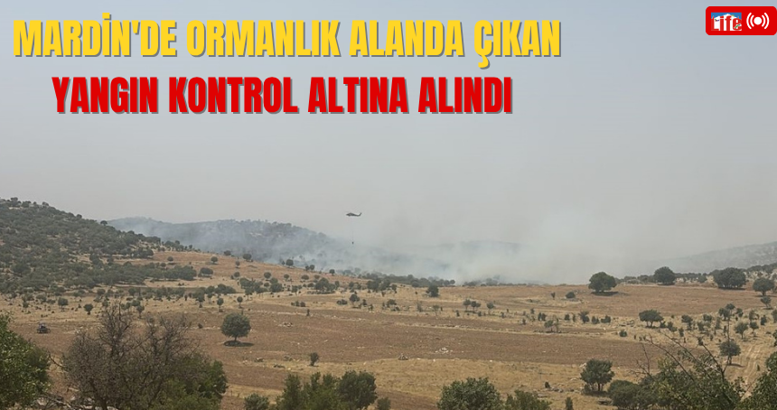 Mardin'de ormanlık alanda çıkan yangın kontrol altına alındı