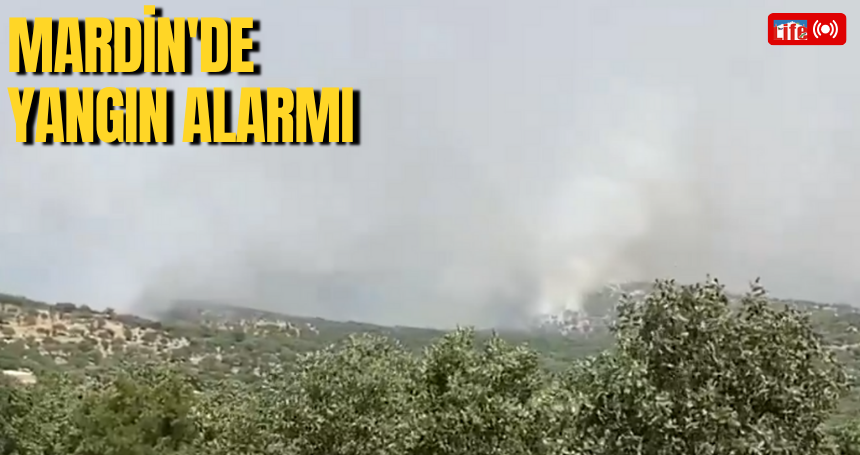 Mardin'de YANGIN alarmı