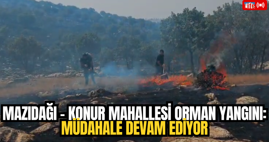 Mazıdağı – Konur Mahallesi Orman Yangını: Müdahale Devam Ediyor