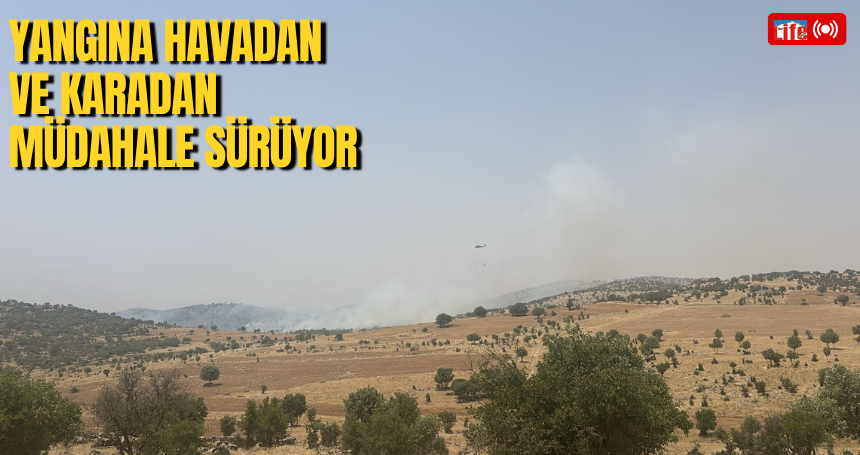 Yangına havadan ve karadan müdahale sürüyor