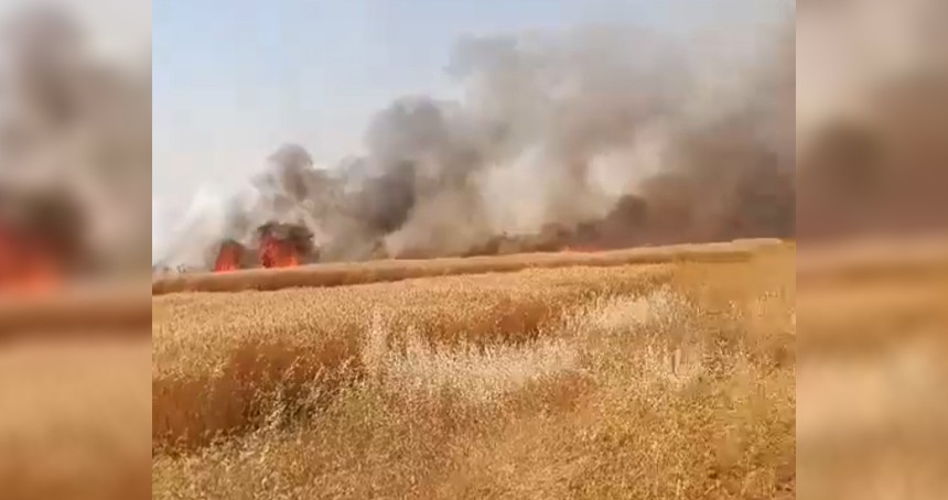 Şanlıurfa'da 170 dönümlük buğday tarlasında yangın