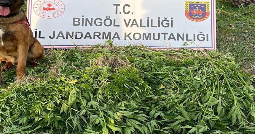 Bingöl'de uyuşturucu operasyonu: 4 gözaltı