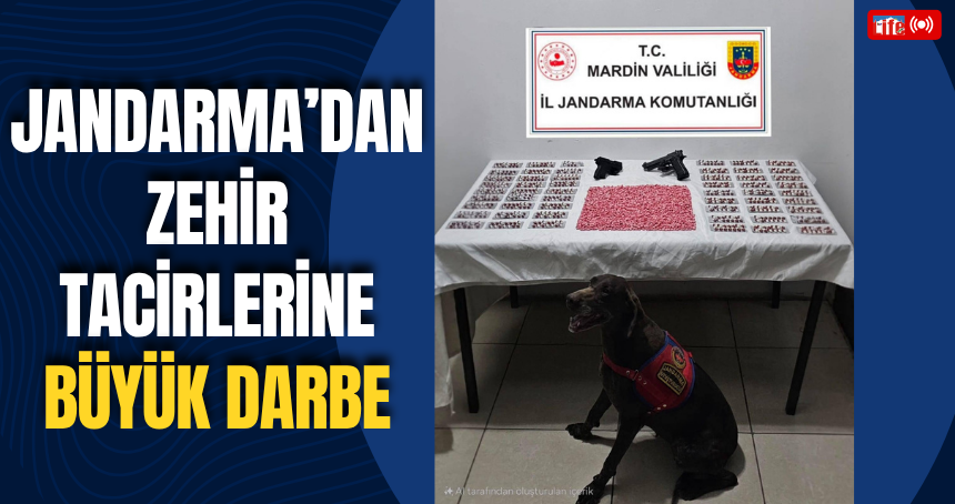 Jandarma’dan Zehir Tacirlerine Büyük Darbe