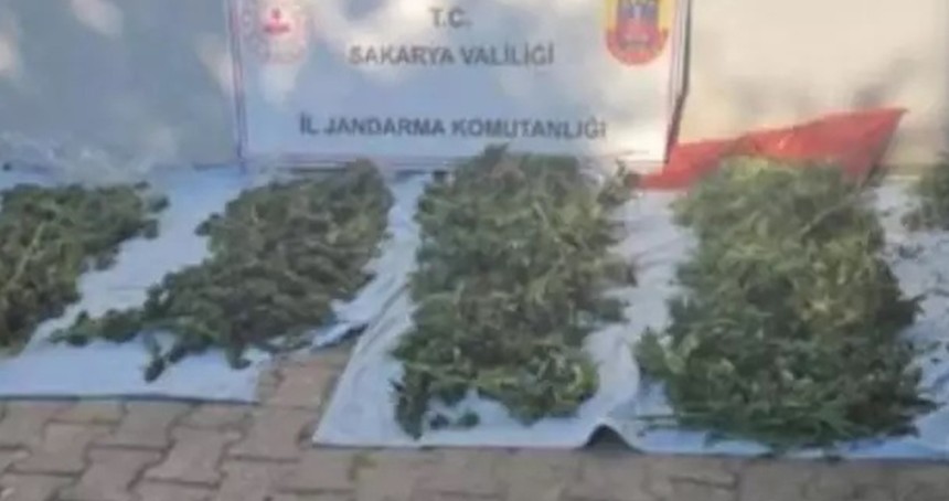 Sakarya'da 19 kilogram skunk ele geçirildi: 1 tutuklama