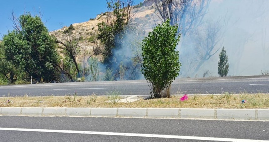 Mardin’de ormanlık alanda yangın 