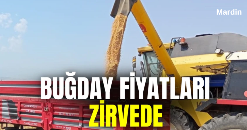 Mezopotamya Ovası'nda Hasat Bereketi