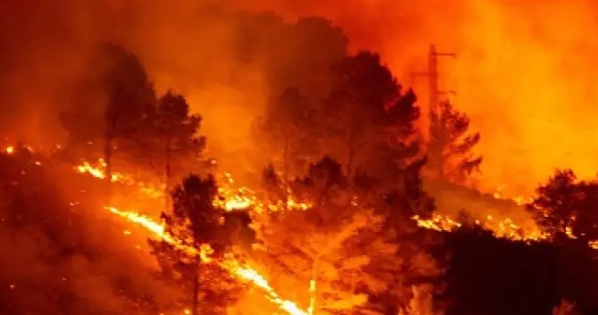 Manisa'da orman yangını