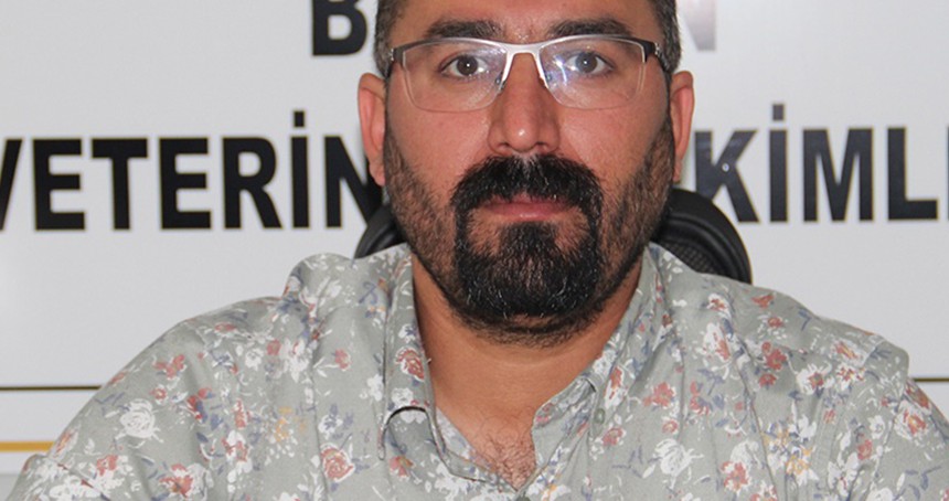 Batman Veteriner Hekimleri Odasından, yaban atlarının katledilmesine tepki