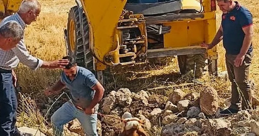 Kuyuya düşen inek kurtarıldı