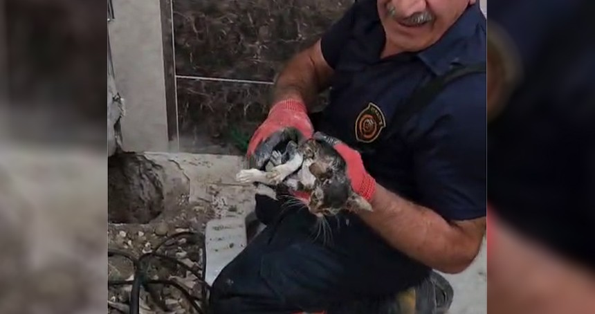 Malatya'da gider borusuna düşen yavru kedi bir saatlik çalışmayla kurtarıldı