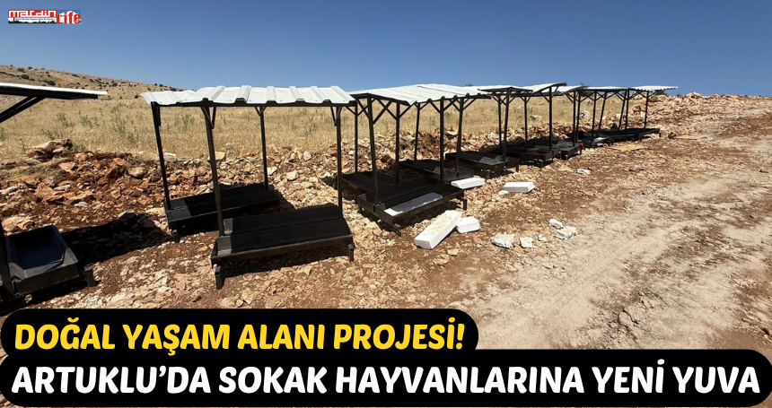 Artuklu’da Sokak Hayvanlarına Yeni Yuva: Doğal Yaşam Alanı Projesi!