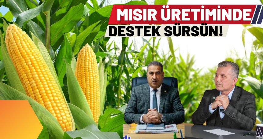Mısır üretimi yasağına tepkiler büyük!